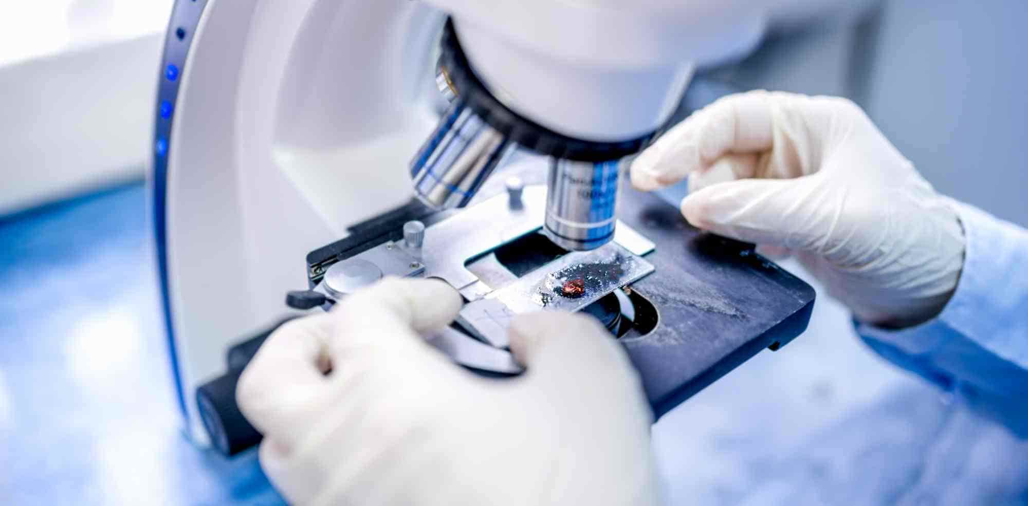 Scientist's hands on microscope